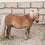 Курортный комплекс Malevil Яблонне-в-Подьештеди