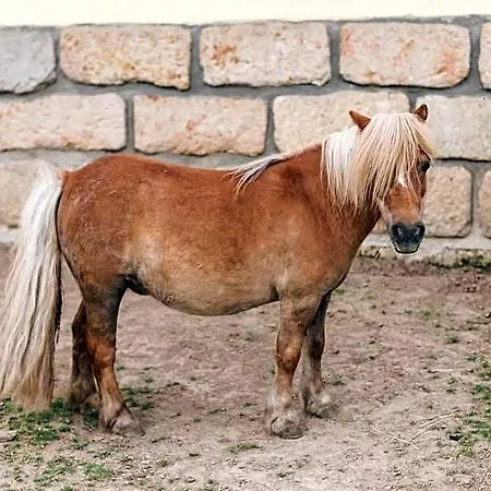Malevil Jablonné v Podještědí