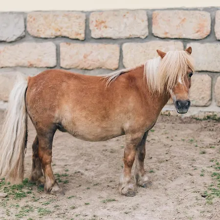 Rezort Malevil Jablonné v Podještědí